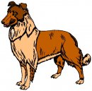 animali/cane/clipart_cani_86.jpg