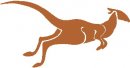 animali/canguro/clipart_canguri_04.jpg