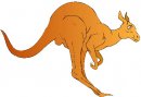 animali/canguro/clipart_canguri_07.jpg