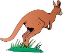 animali/canguro/clipart_canguri_08.jpg