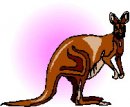 animali/canguro/clipart_canguri_22.jpg