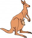 animali/canguro/clipart_canguri_44.jpg