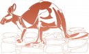 animali/canguro/clipart_canguri_55.jpg