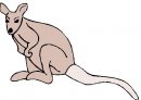 animali/canguro/clipart_canguri_59.jpg