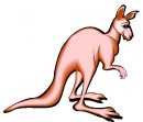 animali/canguro/clipart_canguri_62.jpg