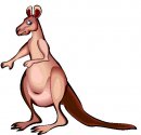 animali/canguro/clipart_canguri_63.jpg