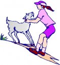 animali/capra/clipart_capre_02.jpg