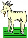 animali/capra/clipart_capre_15.jpg