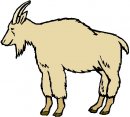 animali/capra/clipart_capre_16.jpg