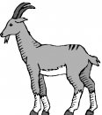 animali/capra/clipart_capre_17.jpg