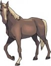 animali/cavallo/cavalli_su11.jpg