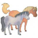 animali/cavallo/cavalli_su12.jpg