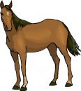 animali/cavallo/clipart_cavalli_00.jpg