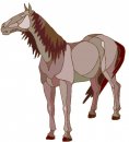 animali/cavallo/clipart_cavalli_49.jpg