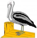 animali/cicogna/clipart_cicogna_15.jpg