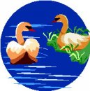 animali/cigno/clipart_cigni_02.jpg