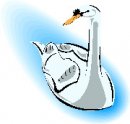 animali/cigno/clipart_cigni_05.jpg