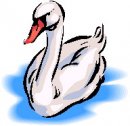 animali/cigno/clipart_cigni_08.jpg