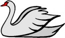 animali/cigno/clipart_cigni_13.jpg