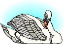 animali/cigno/clipart_cigni_19.jpg