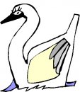 animali/cigno/clipart_cigni_20.jpg