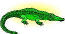 animali/coccodrillo/clipart_coccodrilli_18.jpg