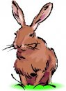 animali/coniglio/clipart_conigli_12.jpg