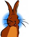 animali/coniglio/clipart_conigli_13.jpg