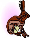 animali/coniglio/clipart_conigli_14.jpg