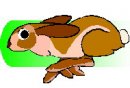 animali/coniglio/clipart_conigli_42.jpg