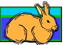 animali/coniglio/clipart_conigli_73.jpg