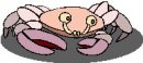 animali/crostacei/clipart_crostacei_05.jpg