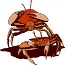 animali/crostacei/clipart_crostacei_12.jpg