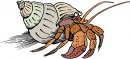 animali/crostacei/clipart_crostacei_17.jpg