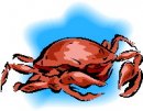 animali/crostacei/clipart_crostacei_23.jpg