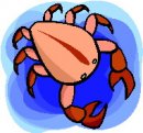 animali/crostacei/clipart_crostacei_26.jpg