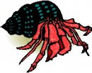 animali/crostacei/clipart_crostacei_29.jpg