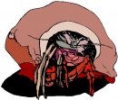 animali/crostacei/clipart_crostacei_30.jpg