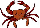 animali/crostacei/clipart_crostacei_35.jpg