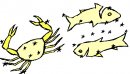 animali/crostacei/clipart_crostacei_37.jpg