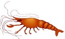 animali/crostacei/clipart_crostacei_44.jpg