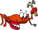 animali/crostacei/clipart_crostacei_47.jpg