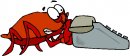 animali/crostacei/clipart_crostacei_48.jpg