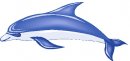 animali/delfino/clipart_delfini_04.jpg