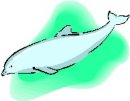 animali/delfino/clipart_delfini_08.jpg