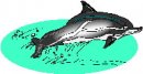 animali/delfino/clipart_delfini_17.jpg