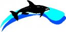 animali/delfino/clipart_delfini_22.jpg