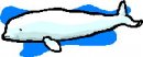 animali/delfino/clipart_delfini_24.jpg