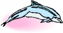 animali/delfino/clipart_delfini_25.jpg