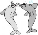 animali/delfino/clipart_delfini_44.jpg